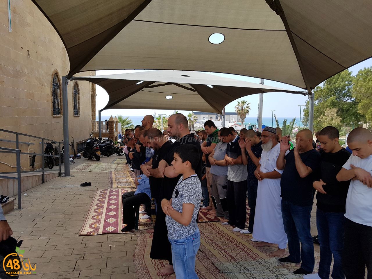 jabaliya ga2eb (1).jpg